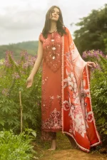 MUSHQ - Image 6