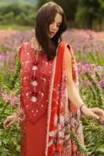 MUSHQ - Image 5