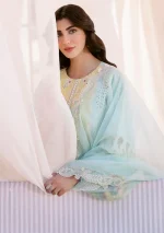 BIN ILYAS - Image 6