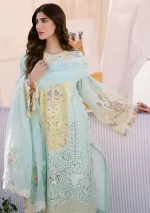 BIN ILYAS - Image 4