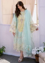 BIN ILYAS - Image 3